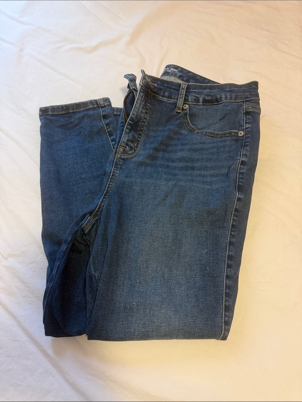Torrid Skinny Jeans